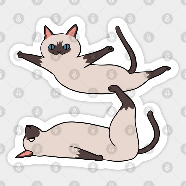 Acroyoga Siamese Cat Sticker by huebucket